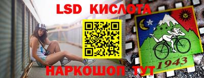 прущие грибы Малгобек