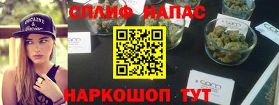 прущие грибы Малгобек