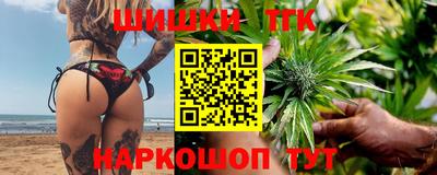 прущие грибы Малгобек