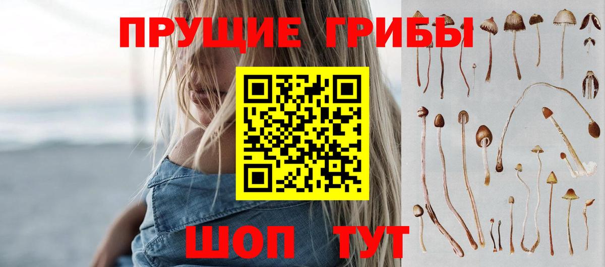 Псилоцибиновые грибы Psilocybine cubensis Великие Луки